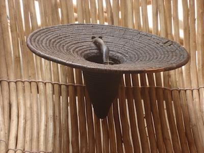 bouclier400x300.jpg