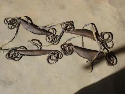 instrui. danse400x300.jpg